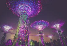 Singapore Airlines Flight Deals