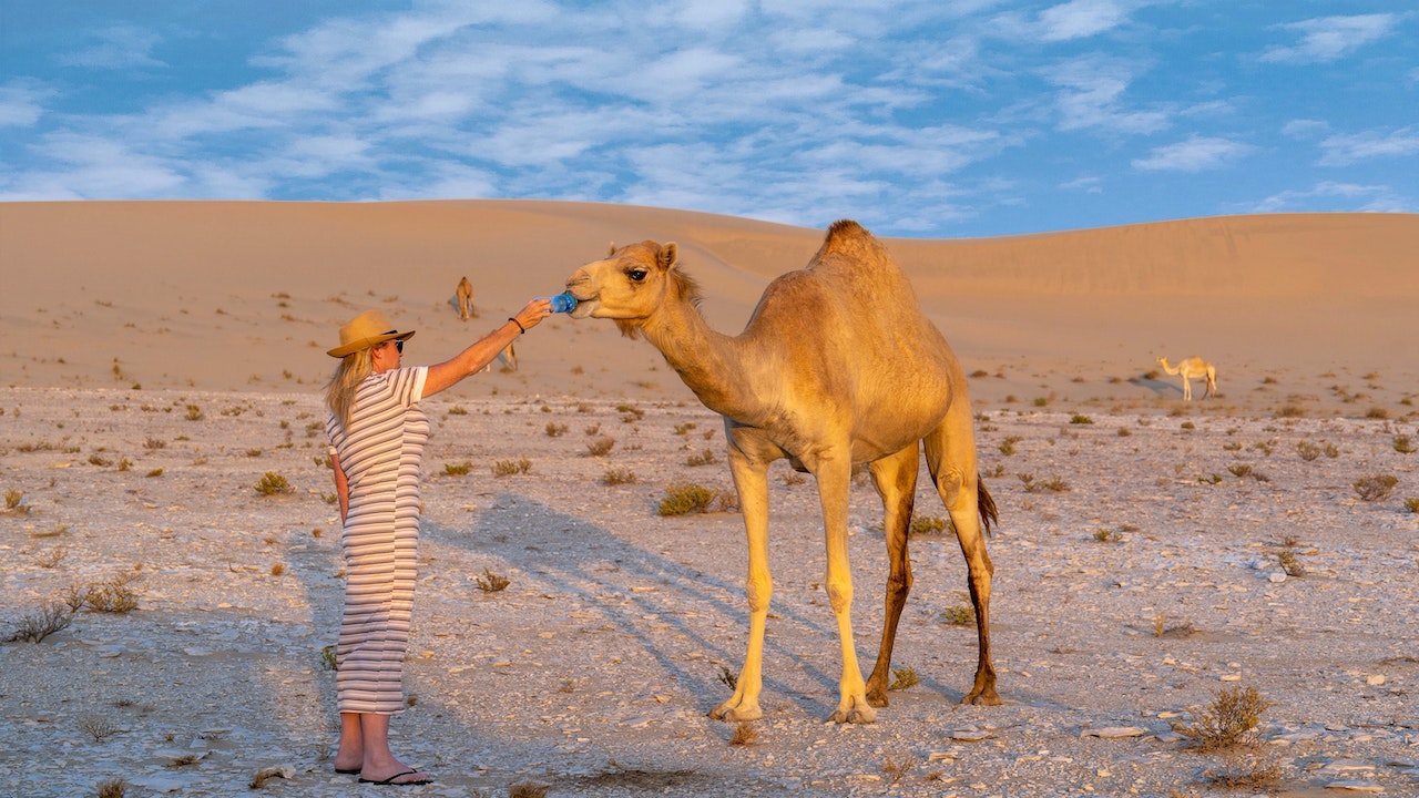 Overnight Desert Safari