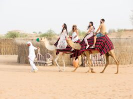 14 days UAE visa