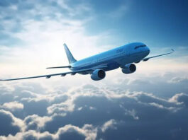 14 Days Dubai Visa