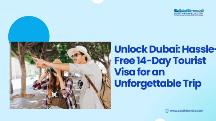 14 days Dubai tourist visa